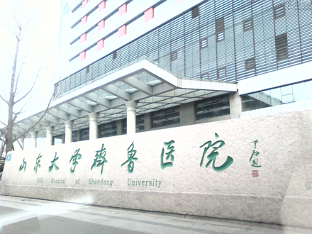工程案例标题六